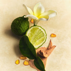 Lotion and Mist Duo B8